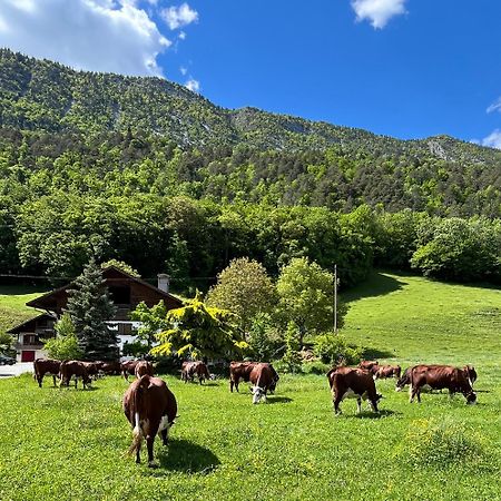 Appartement Lapreski, Spacieux, Proche Lac D'Annecy, Randonnees Montagne Thônes Екстериор снимка