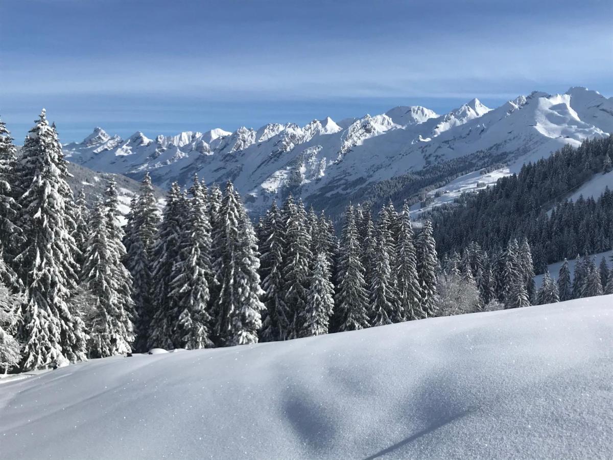 Appartement Lapreski, Spacieux, Proche Lac D'Annecy, Randonnees Montagne Thônes Екстериор снимка