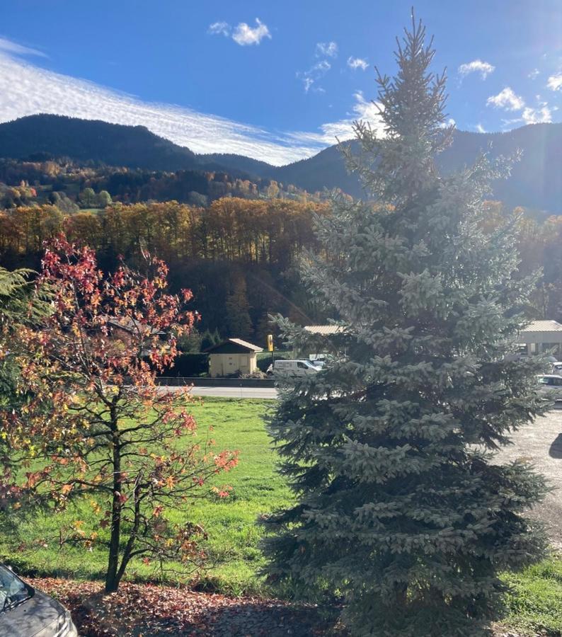 Appartement Lapreski, Spacieux, Proche Lac D'Annecy, Randonnees Montagne Thônes Екстериор снимка