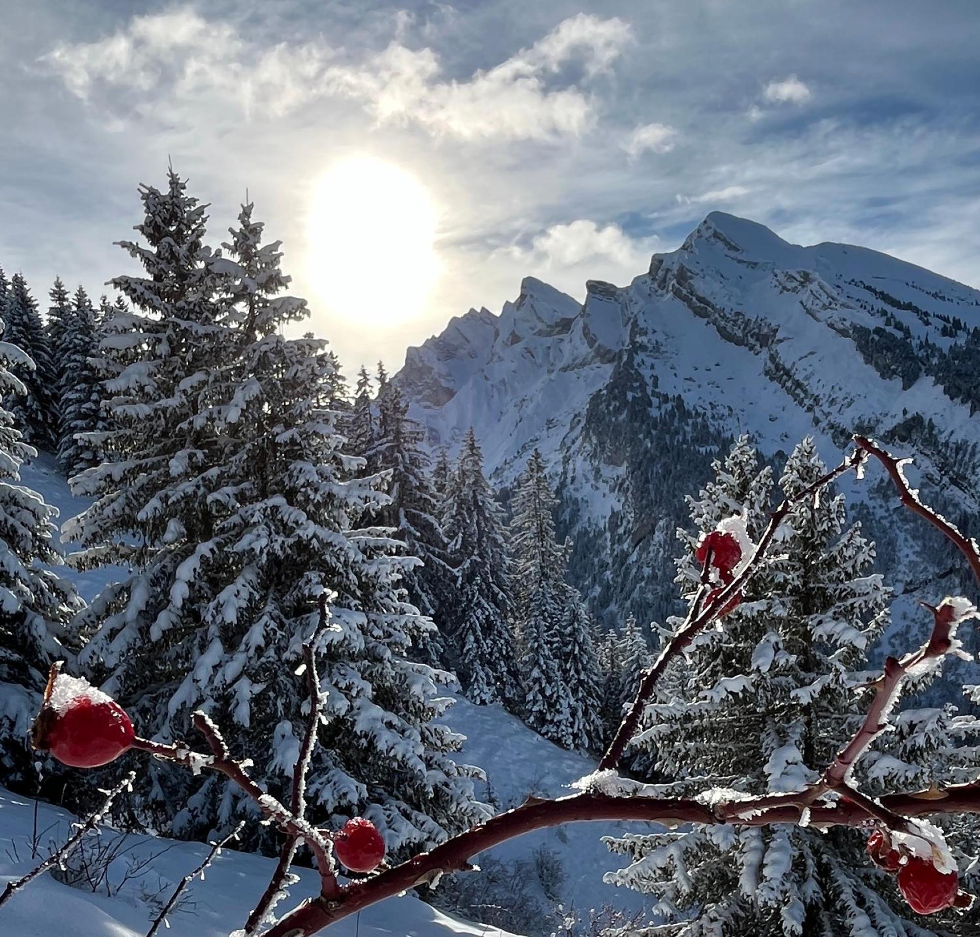 Appartement Lapreski, Spacieux, Proche Lac D'Annecy, Randonnees Montagne Thônes Екстериор снимка