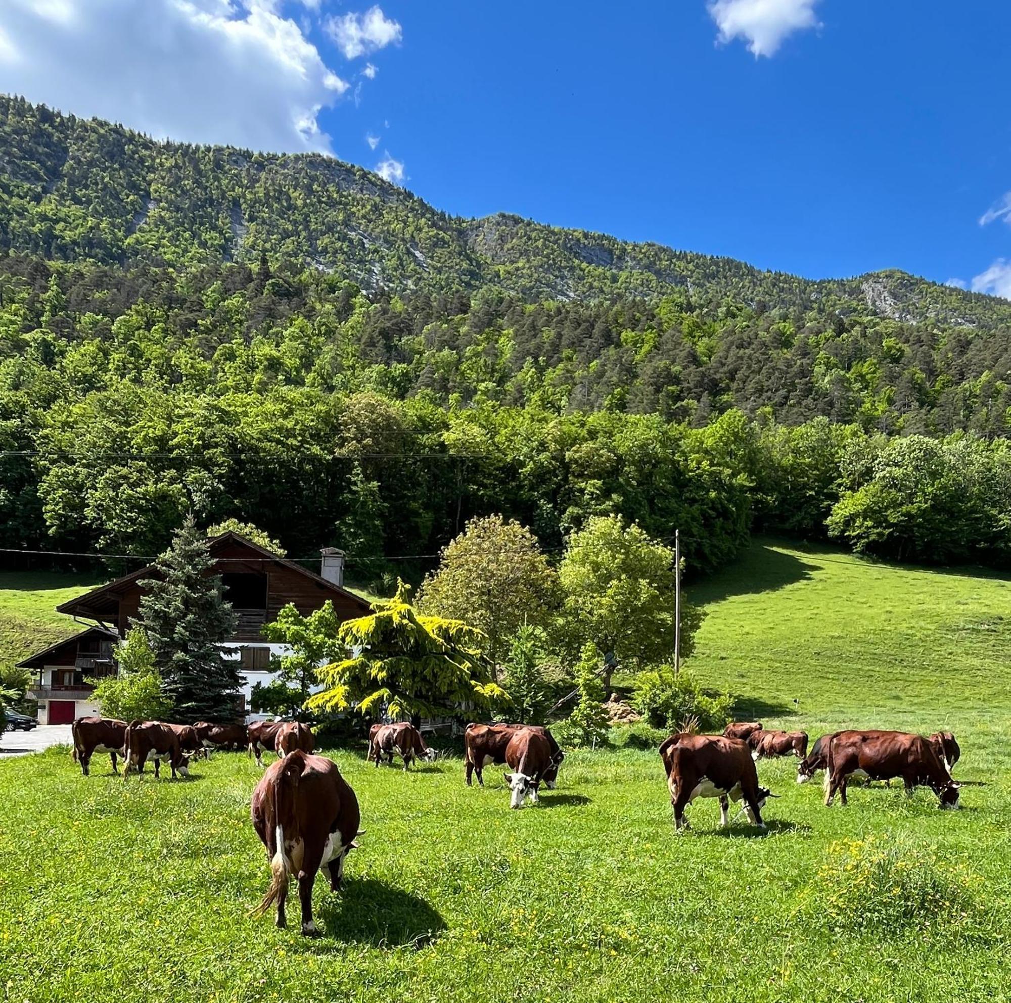Appartement Lapreski, Spacieux, Proche Lac D'Annecy, Randonnees Montagne Thônes Екстериор снимка